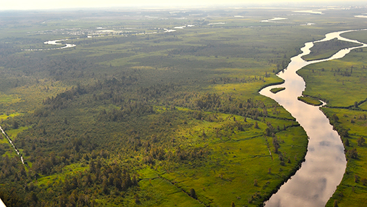 Savannah River Clean Water Fund: Conserving Land for Clean Water - Stewards  of the Georgia Coast