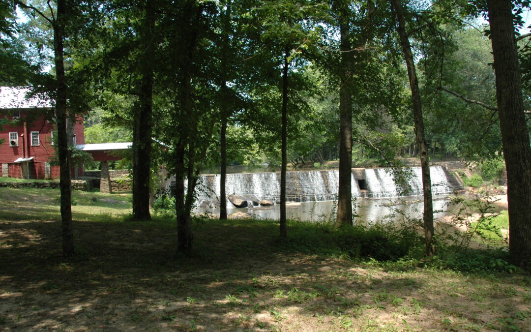 The Ogeechee Storykeeper Project: Building Community for a River Less Travelled