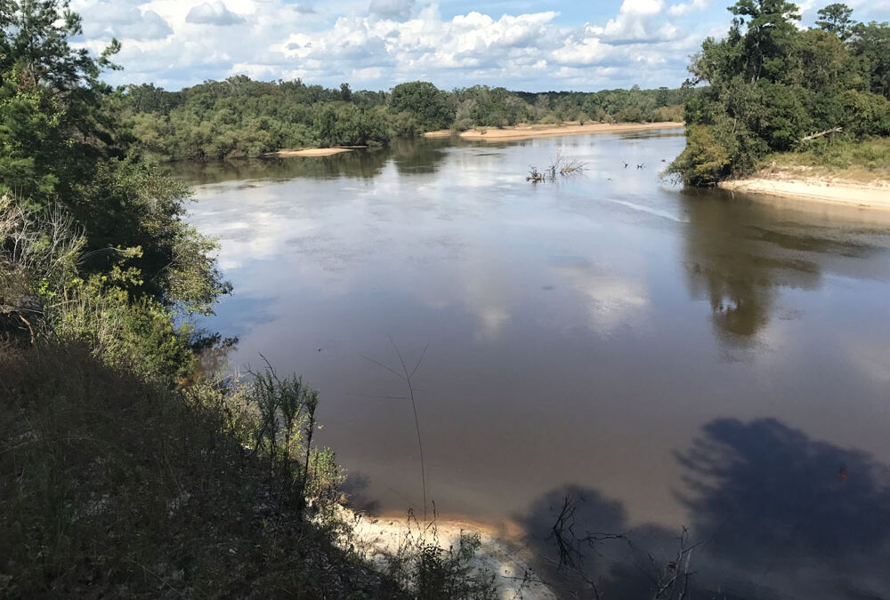 The Conservation Fund: Conserving Land Along the Altamaha