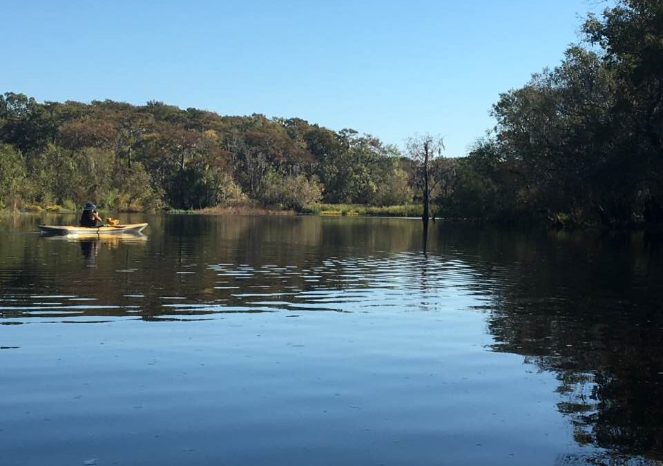 A Cardiologist with Her Heart in Coastal Georgia: Dr. Marsha Certain