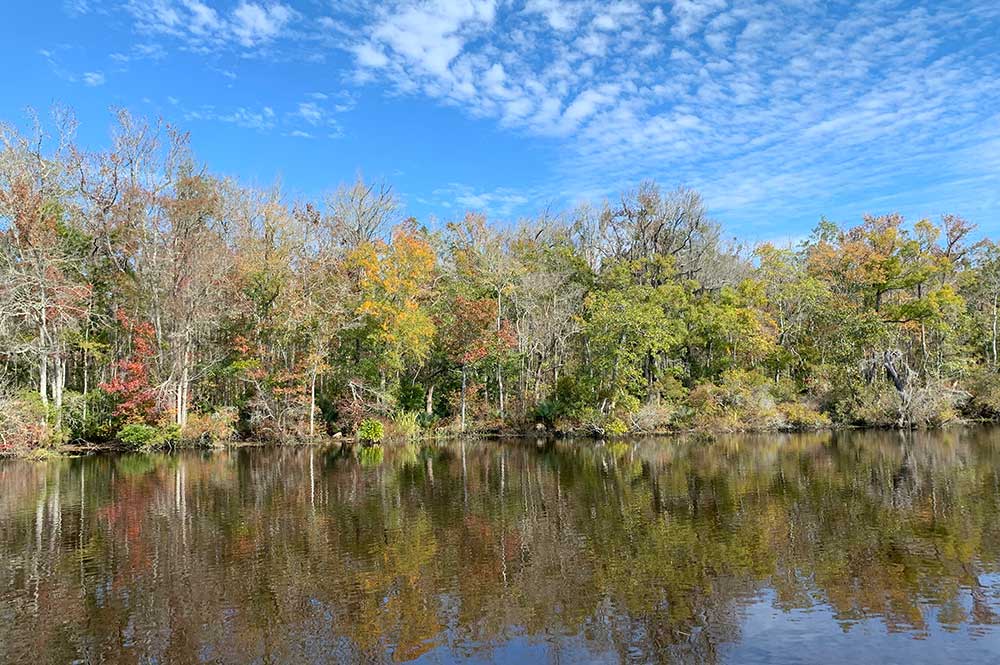 Georgia’s Coastal Watersheds, Part IV: The Satilla