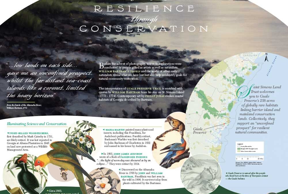 The Lasting Impact of William Bartram’s Writings and Illustrations